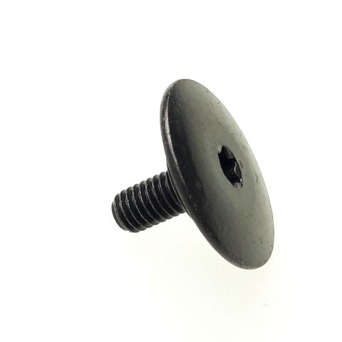 SCREW, BODY 6MM