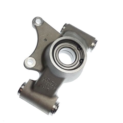 Rear Knuckle Assy, L.