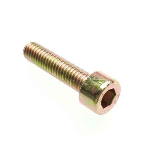 Bolt M6×25