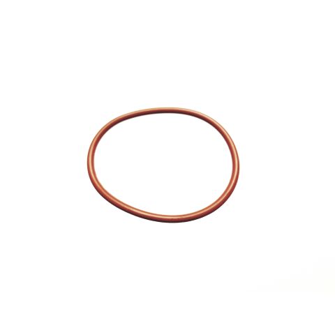 SEAL RING, INJECTOR SEAT