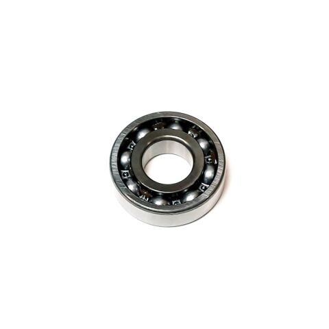 RADIAL BALL BRG. 6204