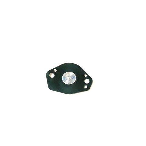 DIAPHRAGM ASS'Y