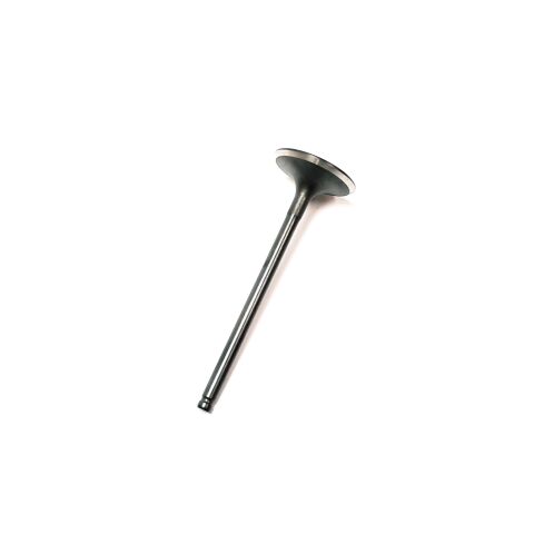 VALVE, INTAKE