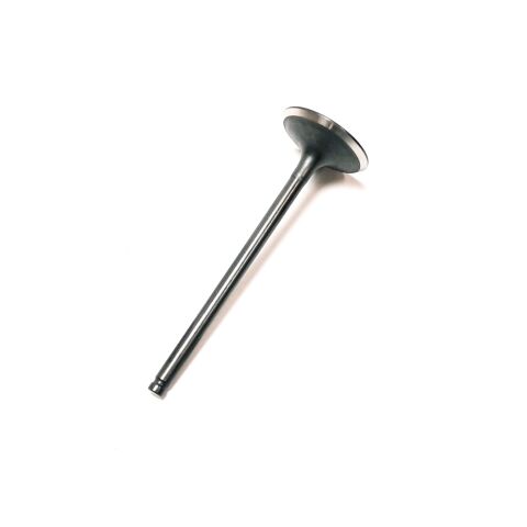 INTAKE VALVE