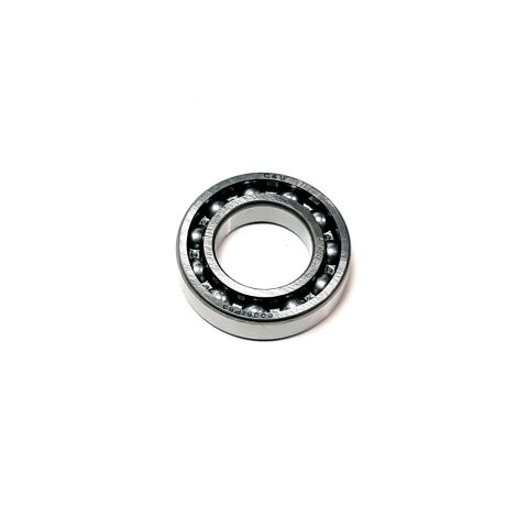 BEARING 6006