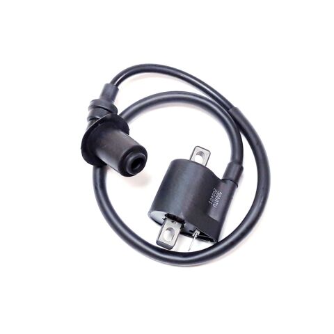 IGNITON COIL AND WIRE