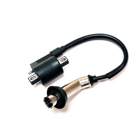 IGNITION COIL ASSY