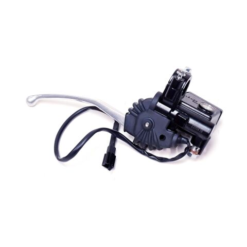 REAR BRAKE ASSY