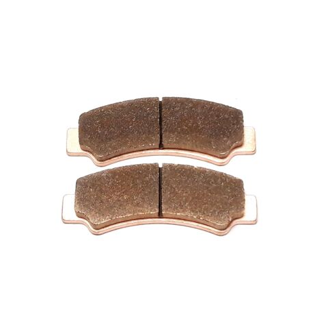 FRONT BRAKE PAD ASSY (2 PADS)