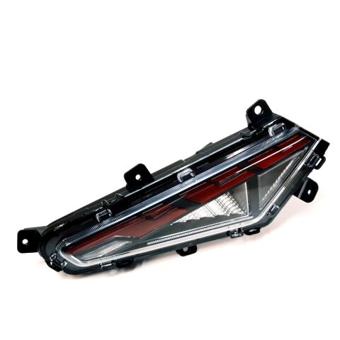 TAILLIGHT, L