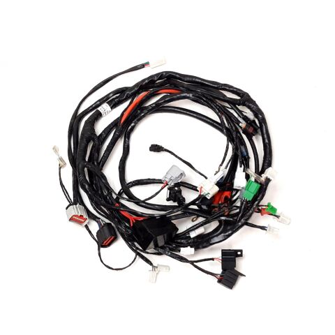 WIRE HARNESS ASSY (Euro 5)