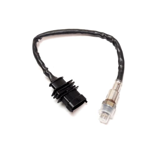 Oxygen Sensors