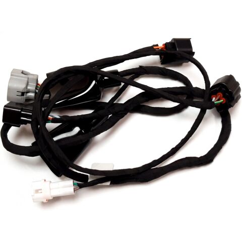 TAILLIGHT TRANSITION LINE