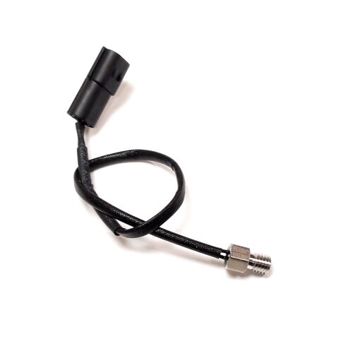Cylinder temperature sensor