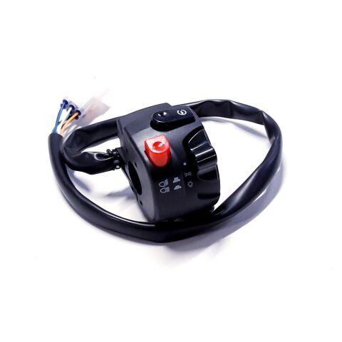 Combination switch (left)