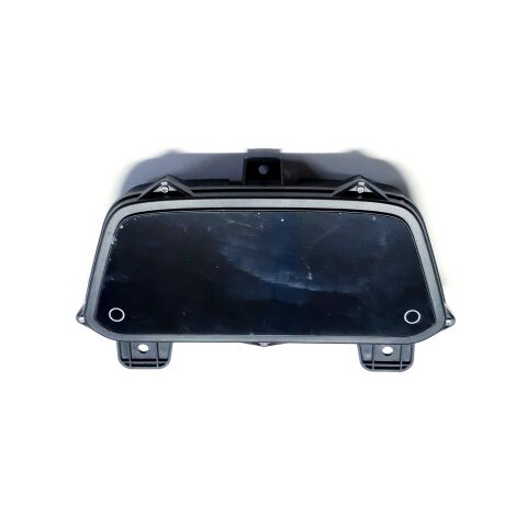 Segway SPEEDOMETER,COLOR