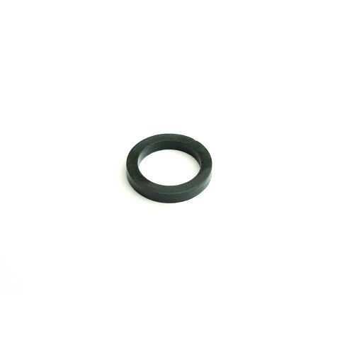 Sealing ring