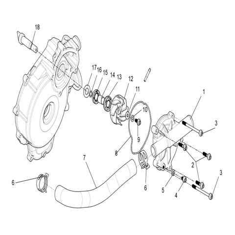 Water Pump assembly