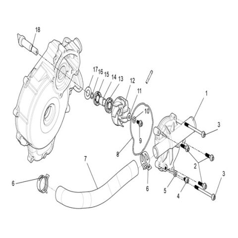 Water Pump assembly.