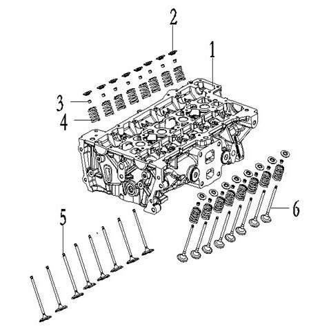 VALVE AND VALVE SPRING.