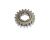 INTERMEDIATE GEAR 1 (Ref. č 1)