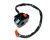SWITCH ASSY (05 MODEL 50TH MODEL) (Ref. č 12)