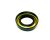 Oil Seal TC 35-61-09/13 (Ref. č 9)