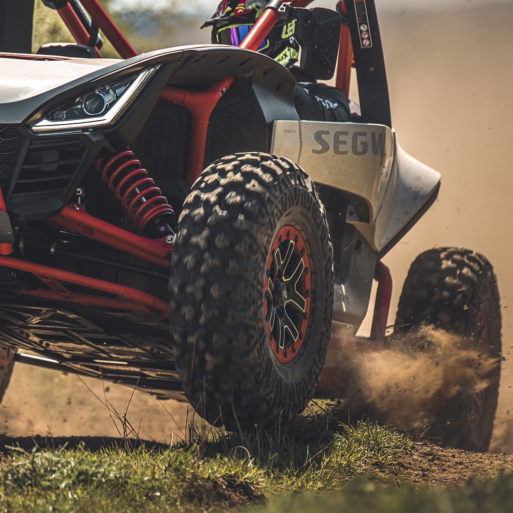 BULLDOG TIRES B3036 (E4)