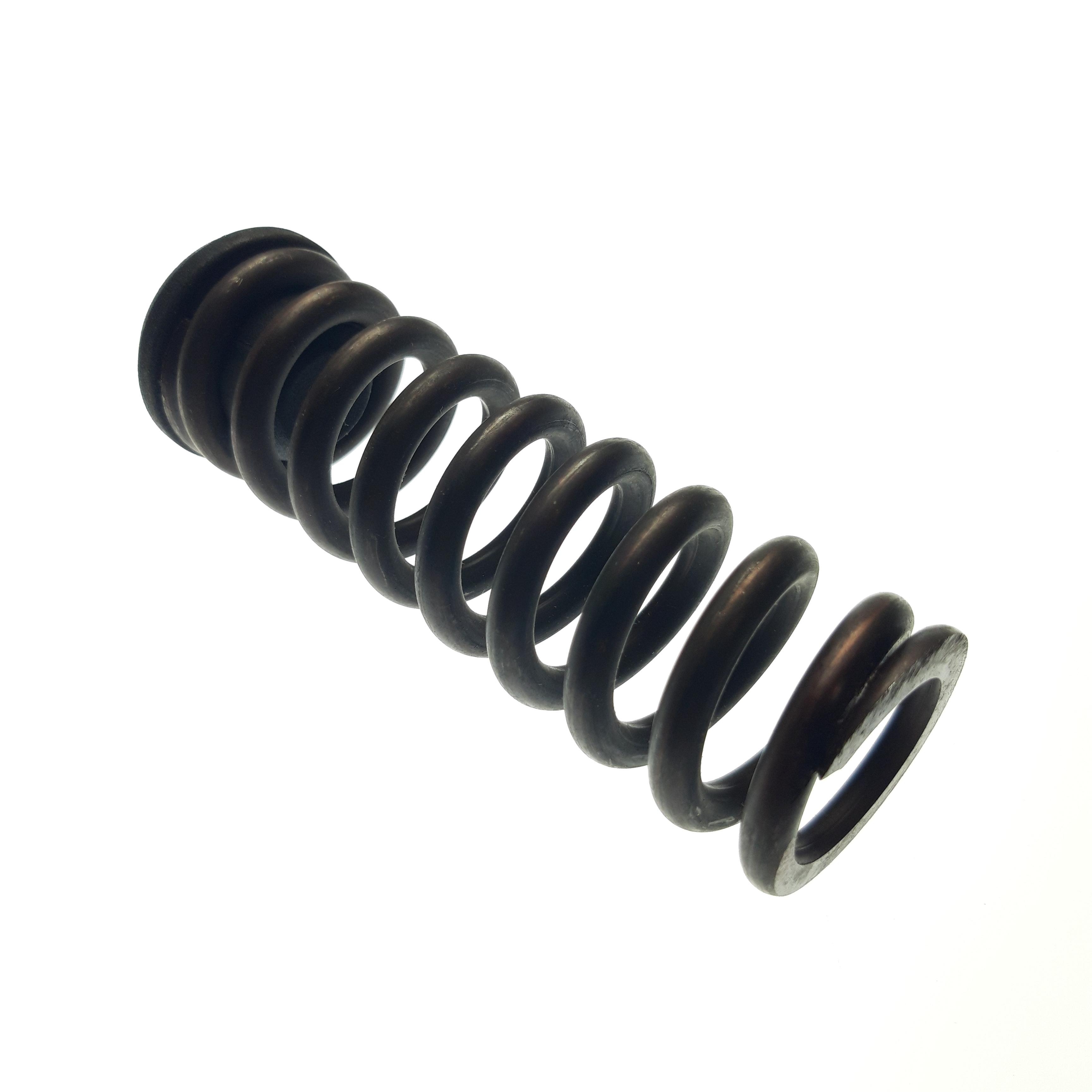 TENSIONER SPRING ASSEMBLY (XGEN-A544)